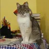 Отзыв от Клара Парамонова